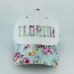 FLORIDA FL - FLORAL CURVED - MINT