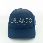 TPU101030 (ORLANDO TPU APP - NAVY)