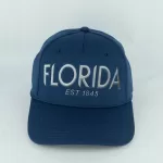 TPU101090 (FLORIDA FL - TPU APP - NAVY)